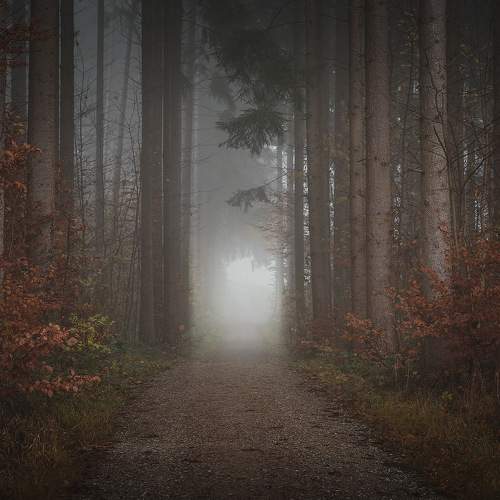 Фотография #6883814