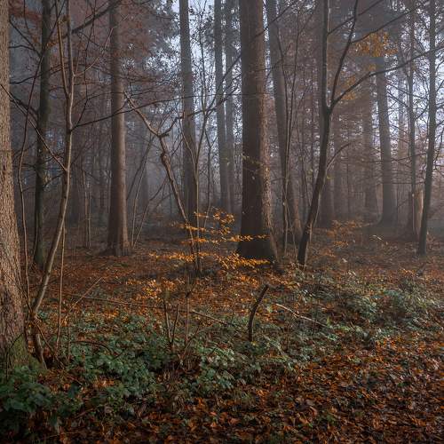 Фотография #6883819