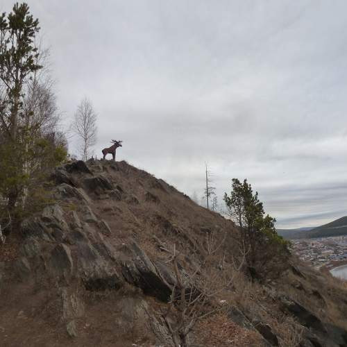 Photo #6884346