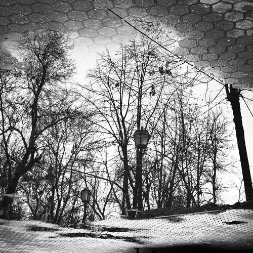 Photo #6884724