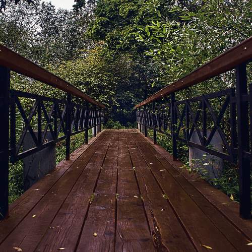 Photo #6884814