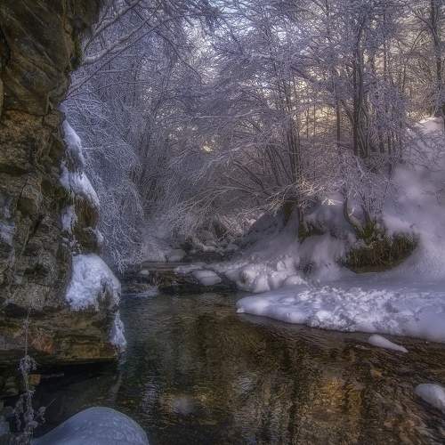 Фотография #6885187