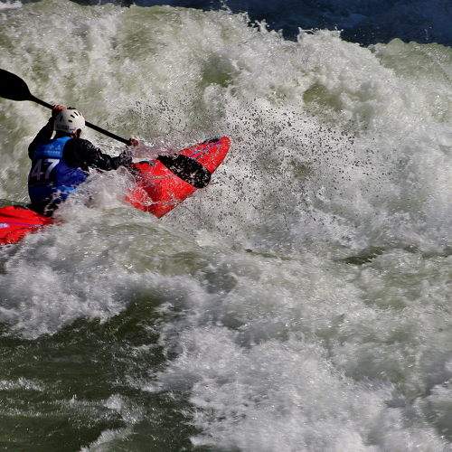 Photo #6885226