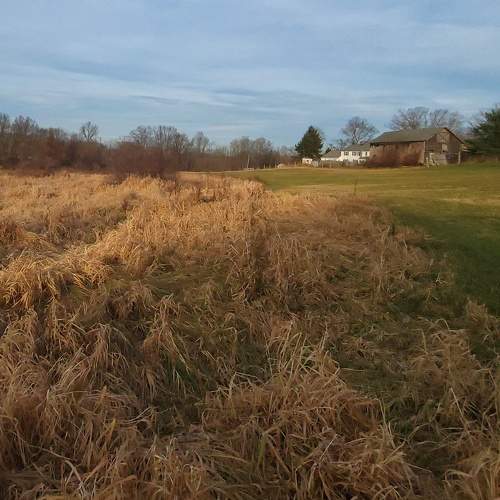Photo #6885664
