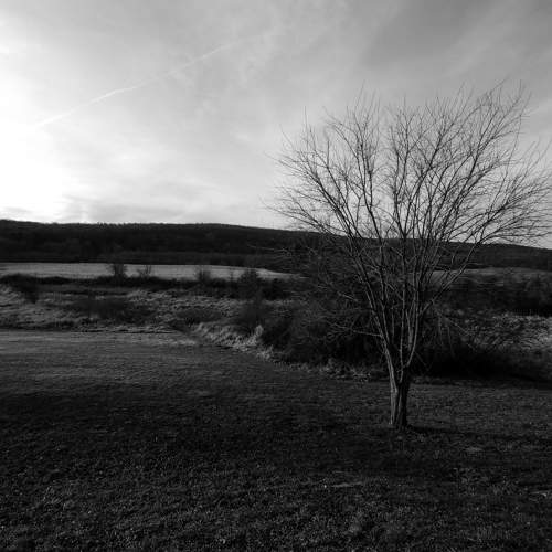 Photo #6885669