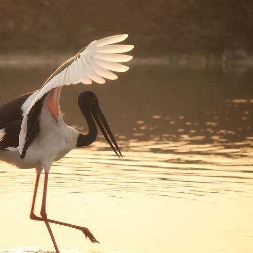 Photo #6885923