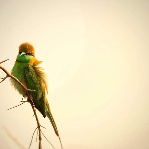 Photo #6885927