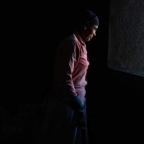 Photo #6885930