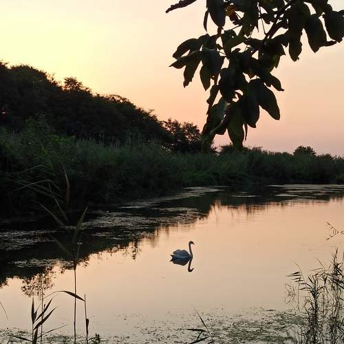 Photo #6886300