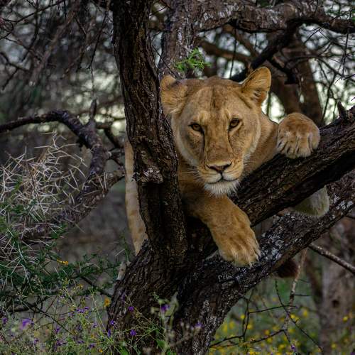 Photo #6886377