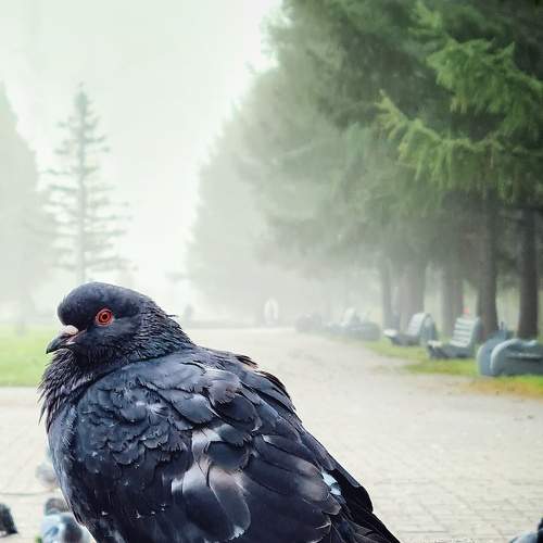 Photo #6887347