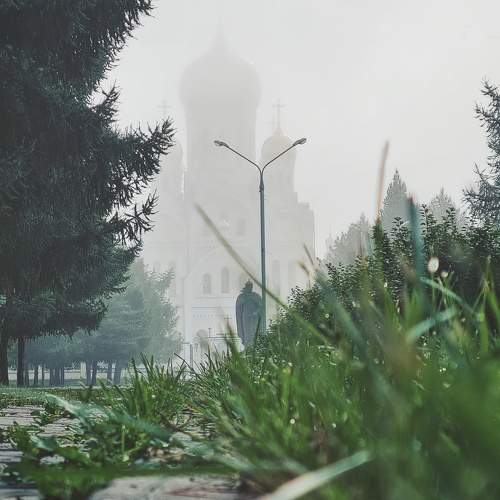 Photo #6887348