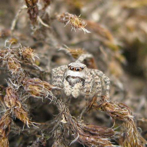 Photo #6887956