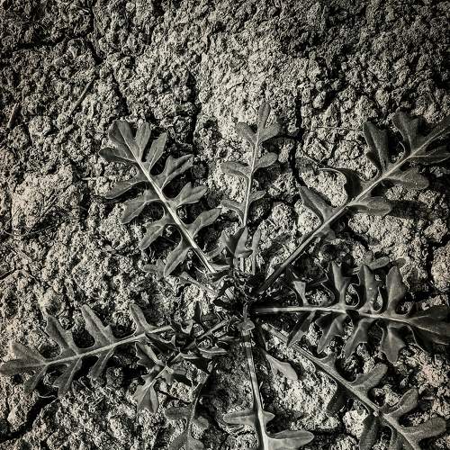 Photo #6888081