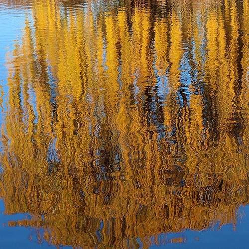 Photo #6888084
