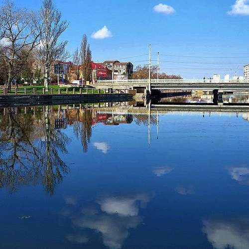 Photo #6888171