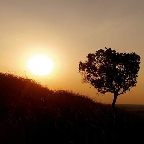 Photo #6888180