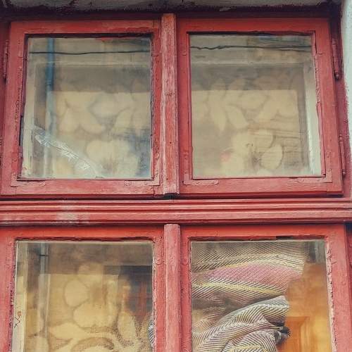 Photo #6888190