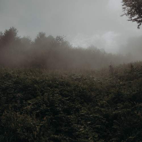 Photo #6888284