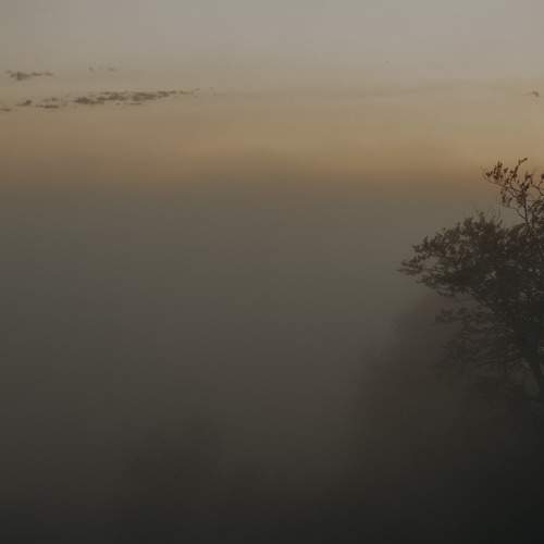 Photo #6888285