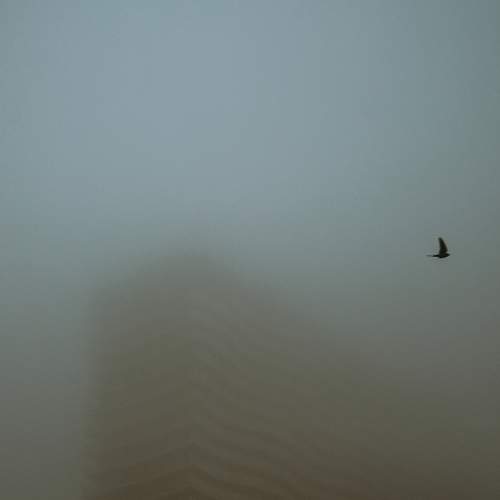 Photo #6888287