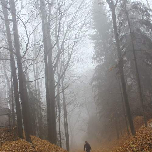 Photo #6888361