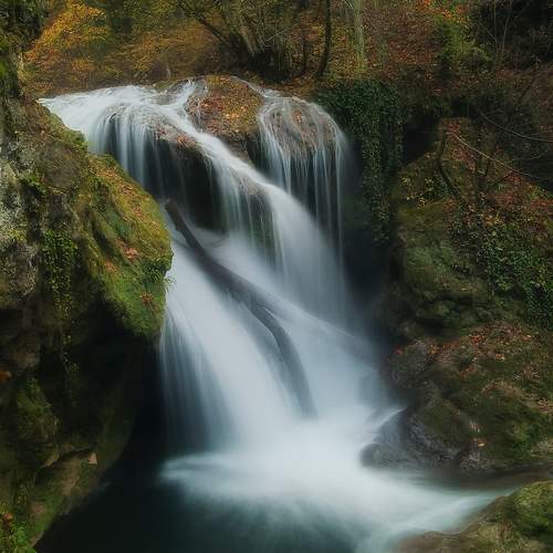 Photo #6888683