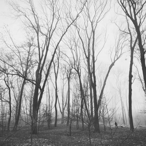 Photo #6888704