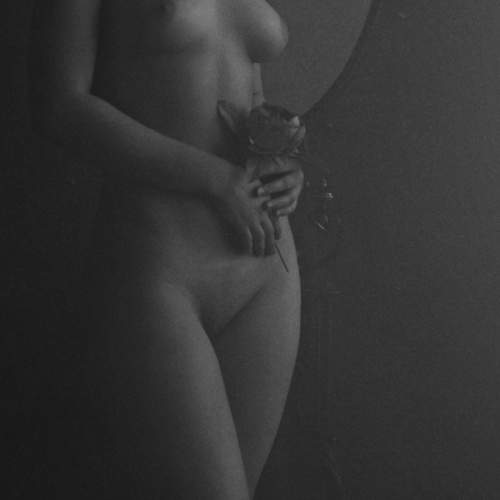 Photo #6888748