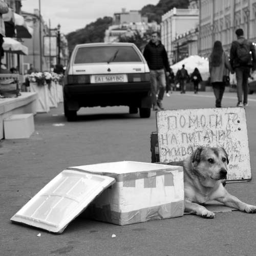 Фотография #6889178