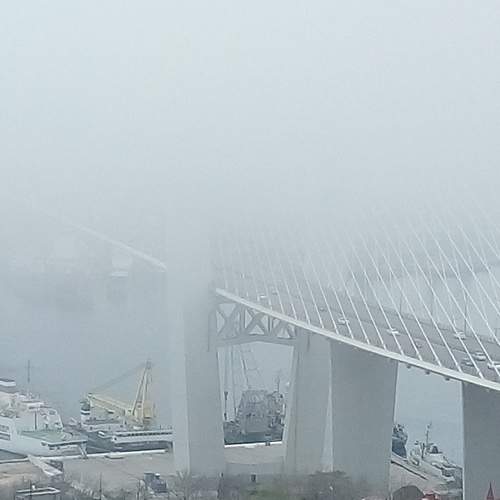 Photo #6889341