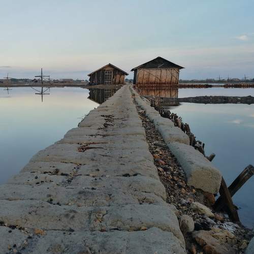 Photo #6889474