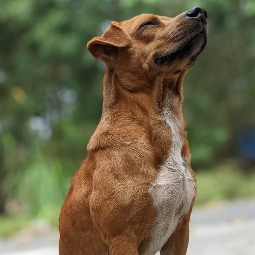 Photo #6889488