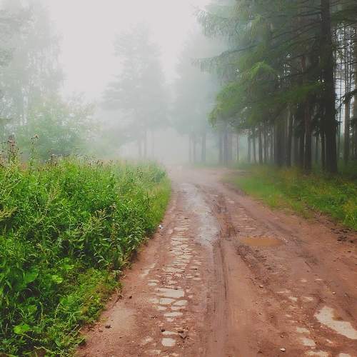 Photo #6889739