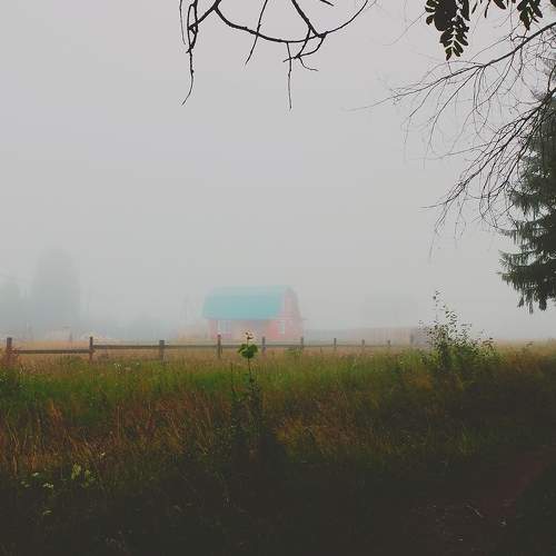 Photo #6889740