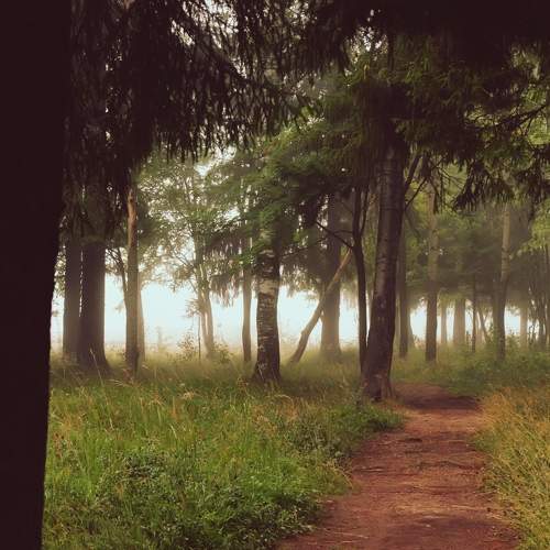 Photo #6889741