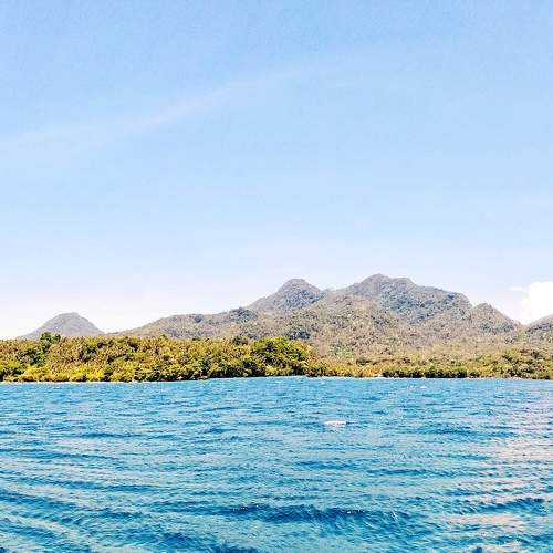 Photo #6889755