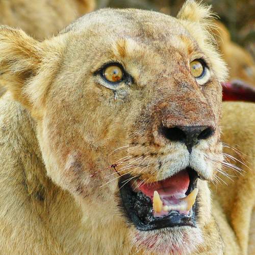 Photo #6889797