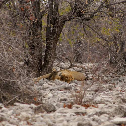 Photo #6889799