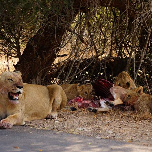 Photo #6889807