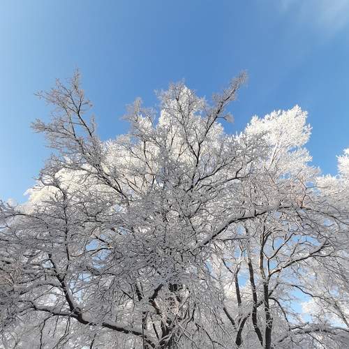 Photo #6890394