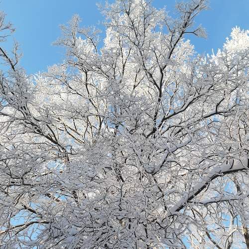 Photo #6890410