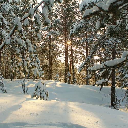 Photo #6890471