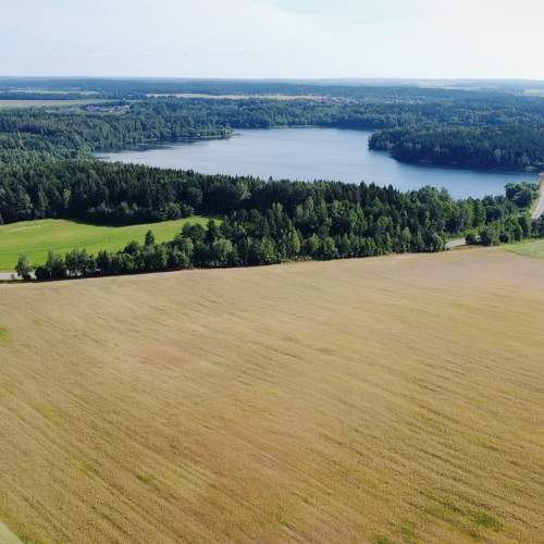 Photo #6890611