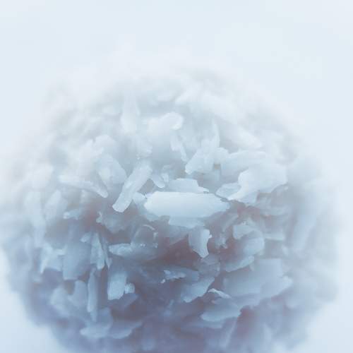 Photo #6890654