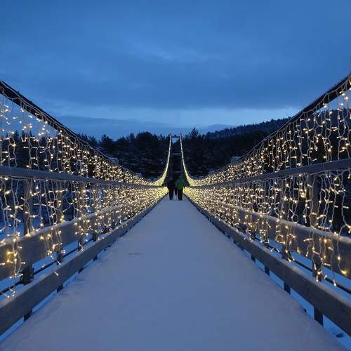 Photo #6890803