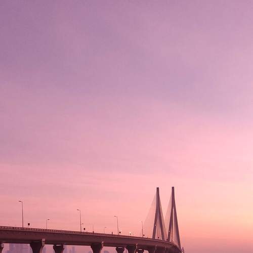 Photo #6891058