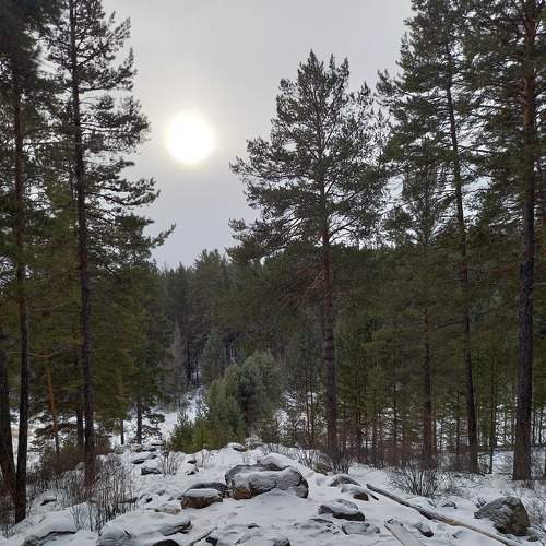 Photo #6891145