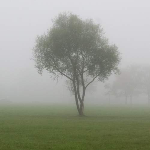 Photo #6891526
