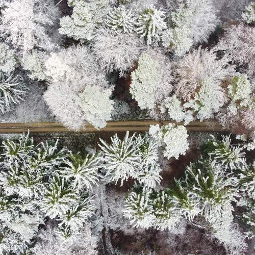 Photo #6891671